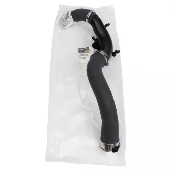 Gaine de suralimentation OE 144602500R