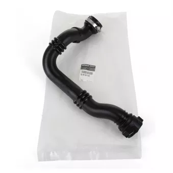 Tuyau d'alimentation en air OE 8200551943