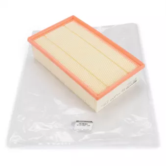 Filtre à air OE 165466515R