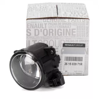 Projecteurs de virage OE 261503971R