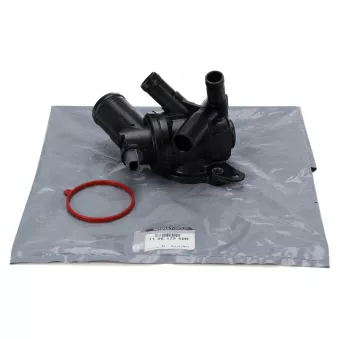 Thermostat d'eau OE 110617250R