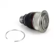 Rotule de suspension OE 401604793R - Visuel 2