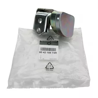 Charnière de porte OE 804218874R