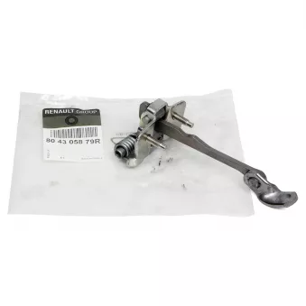 Cale-porte OE 804305879R