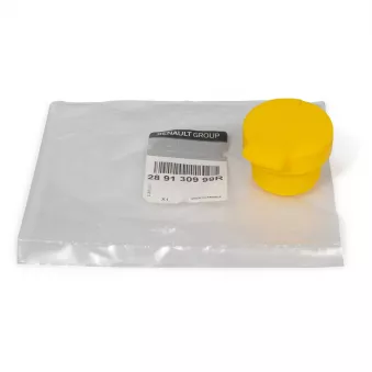 Bouchon, réservoir d'eau de nettoyage OE 289130999R