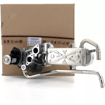 Vanne EGR OE 03L131512DP