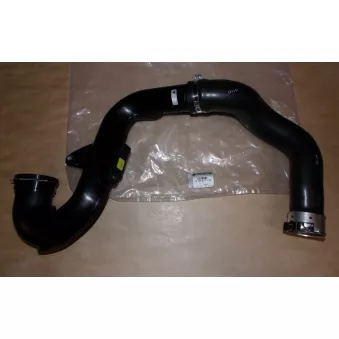 Tuyau D’air OE 144601417R
