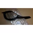 Grille pour phare antibrouillard OE 1610744080 - Visuel 1