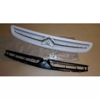 GRILLE DE RADIATEUR OE 1611637980