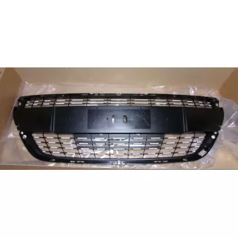Grille De Par Chocs,Calandre OE 1613485680