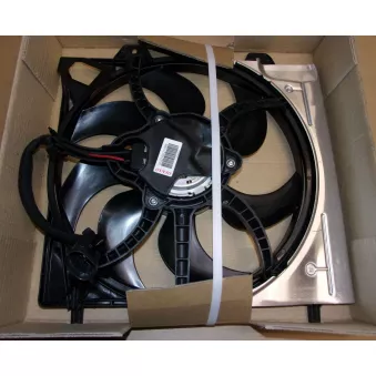 Ventilateur, refroidissement du moteur OE 9823959280