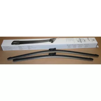 Balai d'essuie-glace OE 1613159480