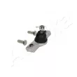 Stabilisateur, chassis ASHIKA 106-02-288 - Visuel 2
