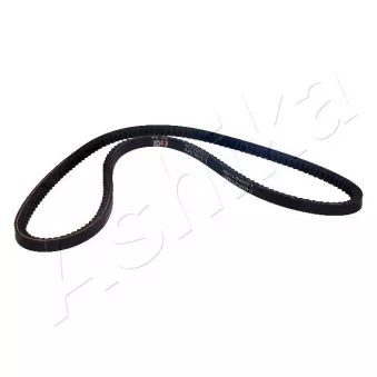 Courroie trapézoïdale ASHIKA 109-10X1013