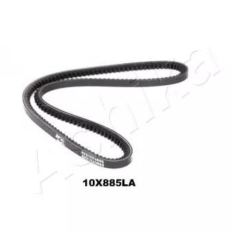 Courroie trapézoïdale ASHIKA 109-10X885LA