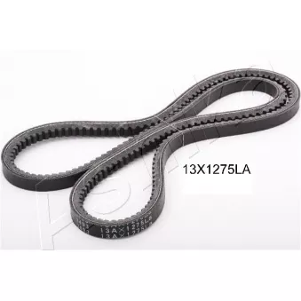 Courroie trapézoïdale ASHIKA 109-13X1275