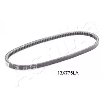 Courroie trapézoïdale ASHIKA 109-13X775