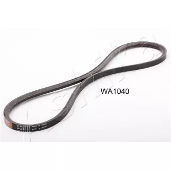 Courroie trapézoïdale ASHIKA 109-WA1040