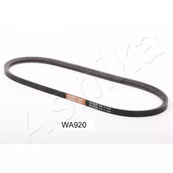 Courroie trapézoïdale ASHIKA 109-WA920