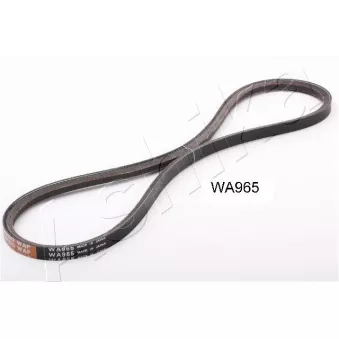 Courroie trapézoïdale ASHIKA 109-WA965