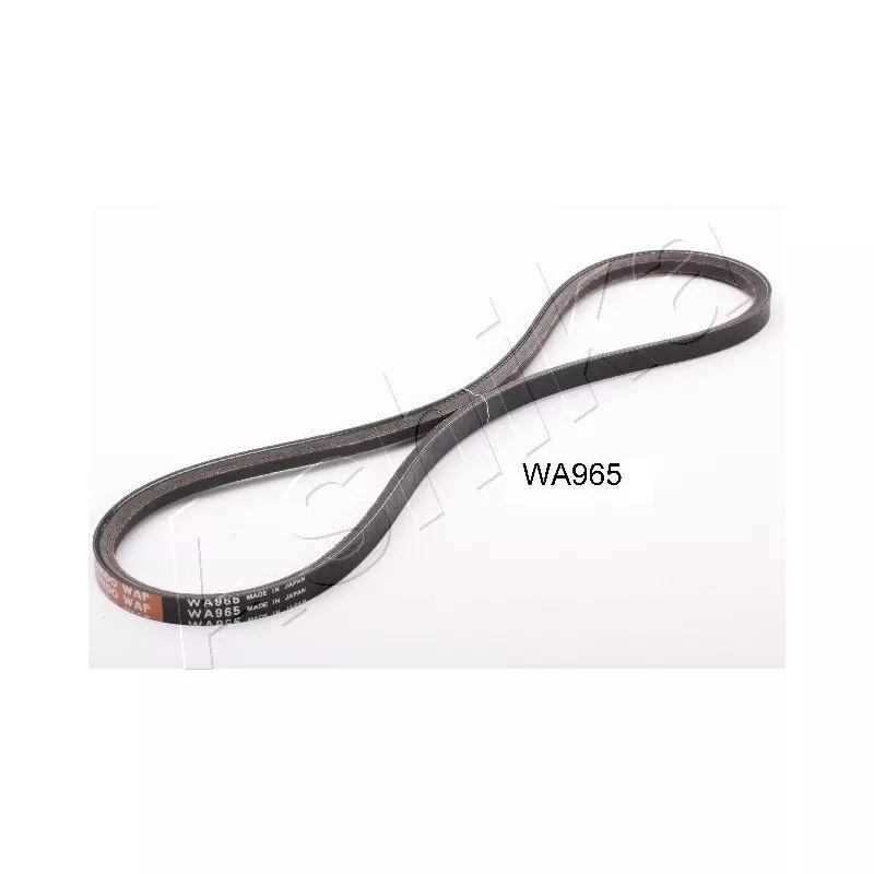 Courroie trapézoïdale ASHIKA 109-WA965