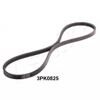 Courroie trapézoïdale à nervures ASHIKA 112-3PK0825