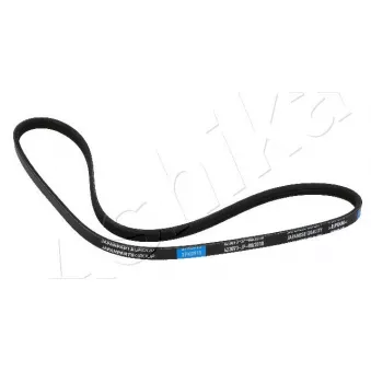Courroie trapézoïdale à nervures ASHIKA 112-3PK0915