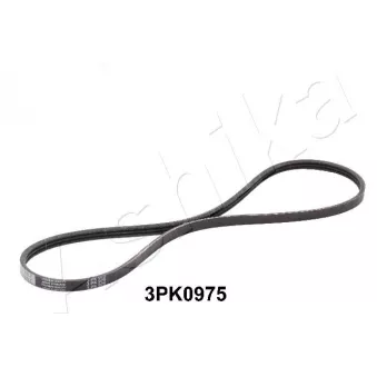 Courroie trapézoïdale à nervures ASHIKA 112-3PK0975