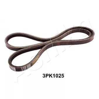 Courroie trapézoïdale à nervures ASHIKA 112-3PK1025