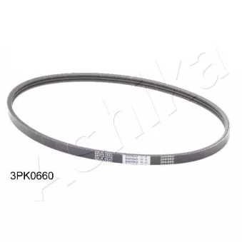 Courroie trapézoïdale à nervures ASHIKA 112-3PK660