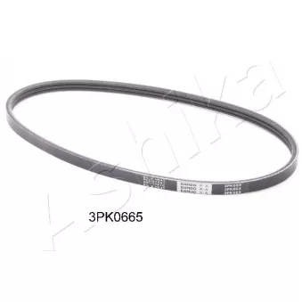 Courroie trapézoïdale à nervures ASHIKA 112-3PK665