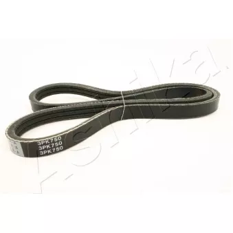 Courroie trapézoïdale à nervures ASHIKA 112-3PK750