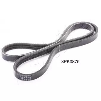 Courroie trapézoïdale à nervures ASHIKA 112-3PK875