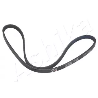Courroie trapézoïdale à nervures ASHIKA 112-3PK905