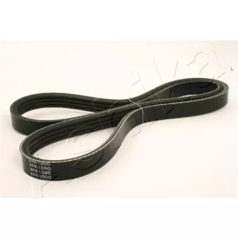 Courroie trapézoïdale à nervures ASHIKA 112-4PK1000