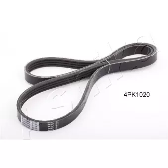 Courroie trapézoïdale à nervures ASHIKA 112-4PK1020