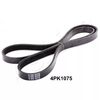 Courroie trapézoïdale à nervures ASHIKA 112-4PK1075