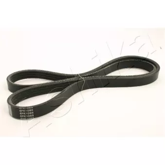 Courroie trapézoïdale à nervures ASHIKA 112-4PK1085