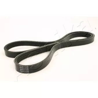Courroie trapézoïdale à nervures ASHIKA 112-4PK1170
