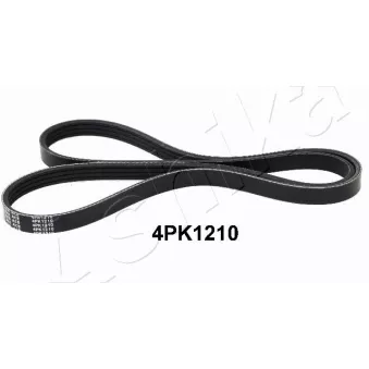 Courroie trapézoïdale à nervures ASHIKA 112-4PK1210