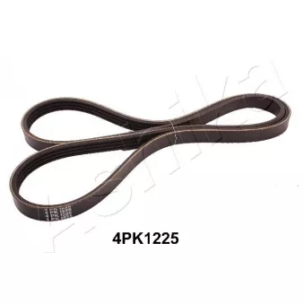 Courroie trapézoïdale à nervures ASHIKA 112-4PK1225