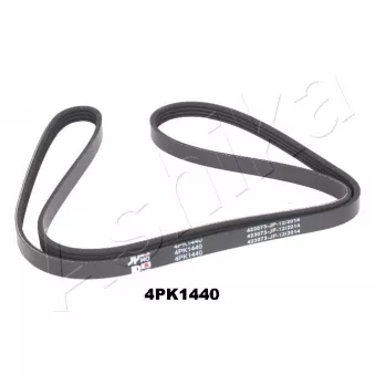 Courroie trapézoïdale à nervures ASHIKA 112-4PK1440