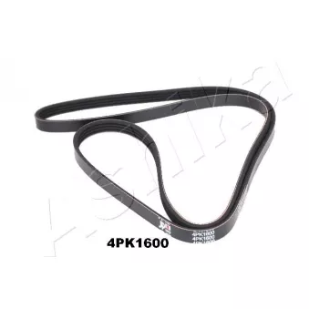 Courroie trapézoïdale à nervures ASHIKA 112-4PK1600