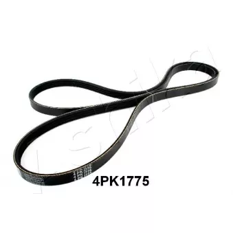 Courroie trapézoïdale à nervures ASHIKA 112-4PK1775
