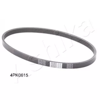 Courroie trapézoïdale à nervures ASHIKA 112-4PK615