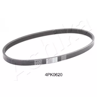Courroie trapézoïdale à nervures ASHIKA 112-4PK620