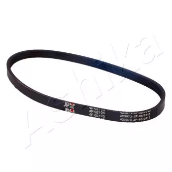 Courroie trapézoïdale à nervures ASHIKA 112-4PK705