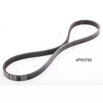 Courroie trapézoïdale à nervures ASHIKA 112-4PK790