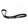 Courroie trapézoïdale à nervures ASHIKA 112-4PK835 - Visuel 1