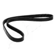 Courroie trapézoïdale à nervures ASHIKA 112-4PK835 - Visuel 3